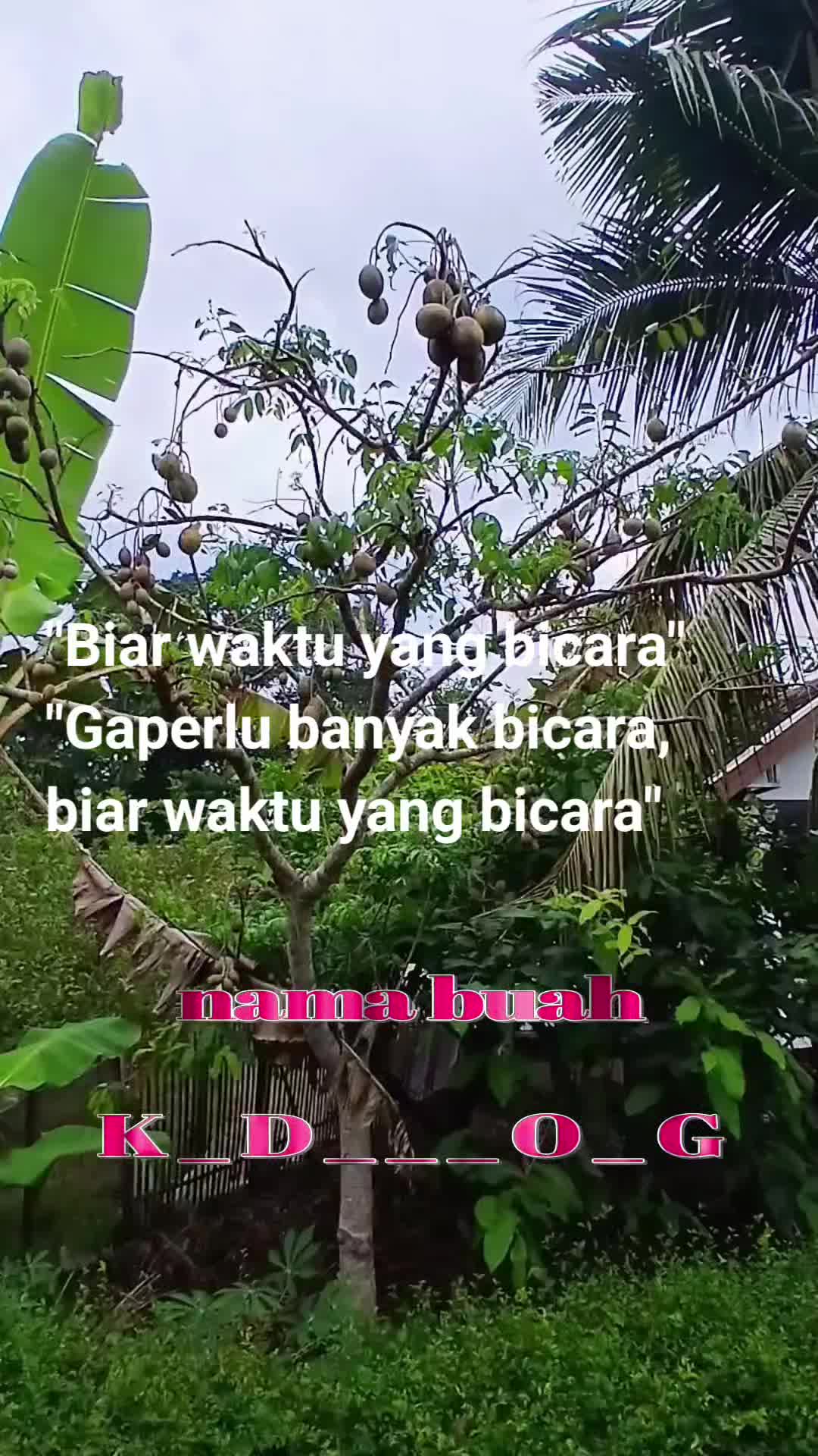 @Yayan c Wijaya