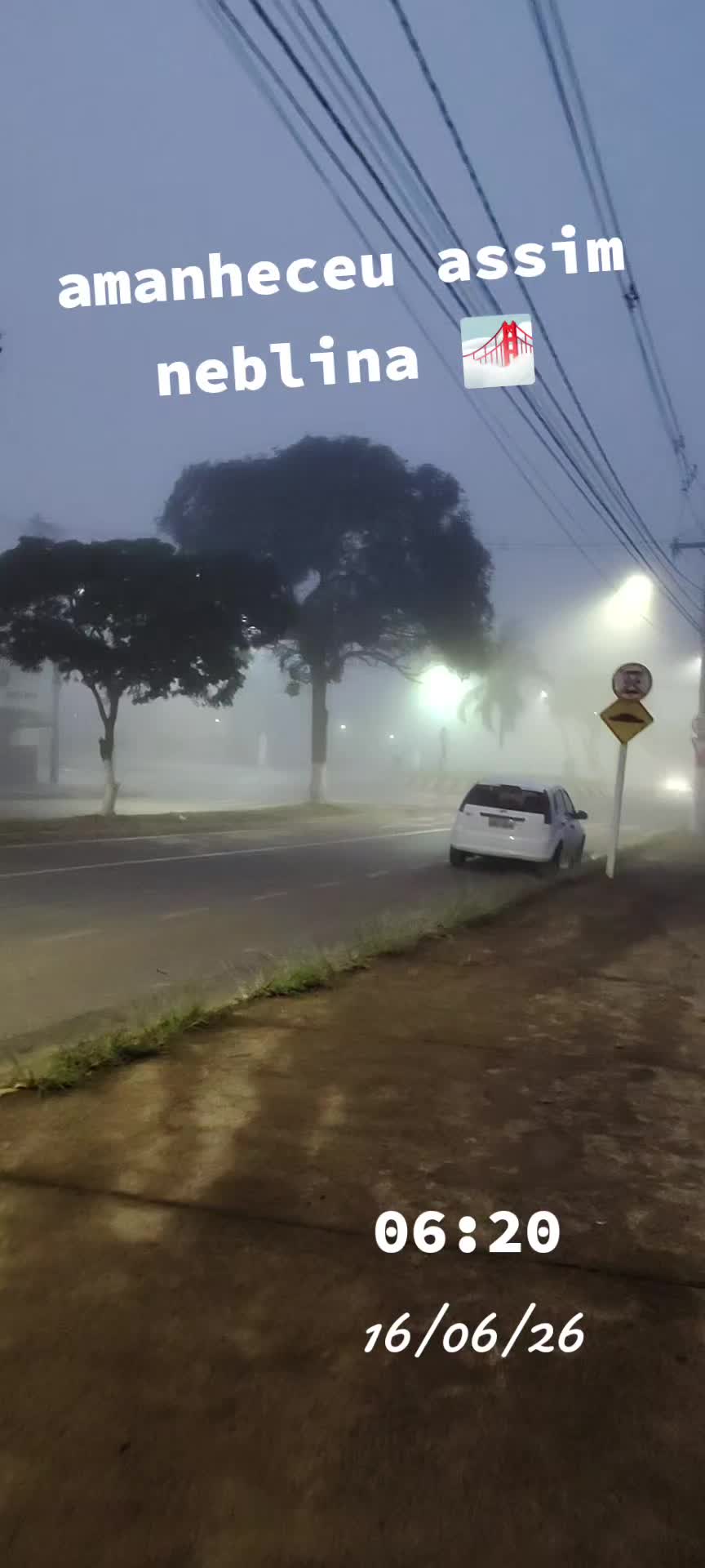 @aparecidamachado303