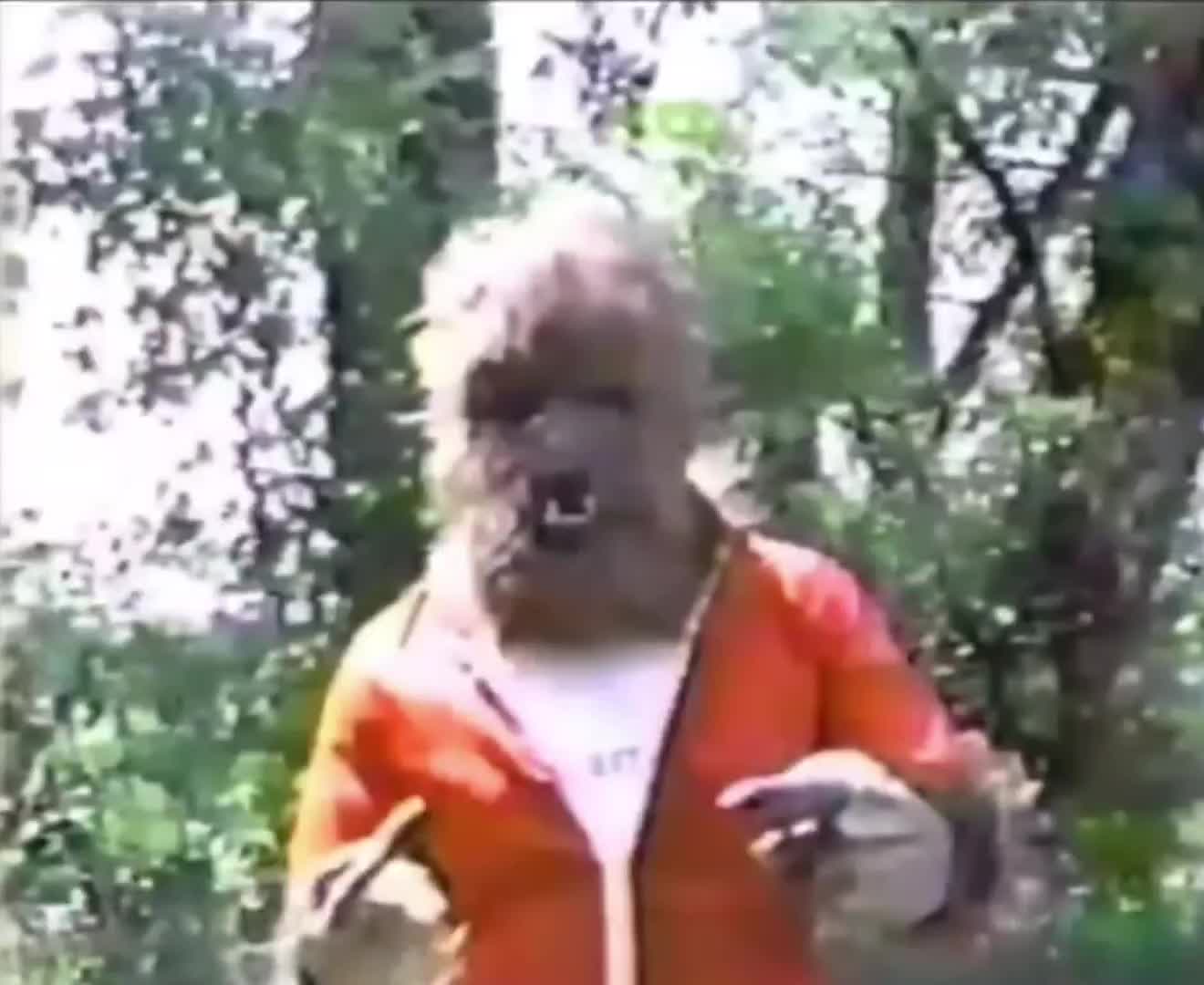 @weirdtvcringe