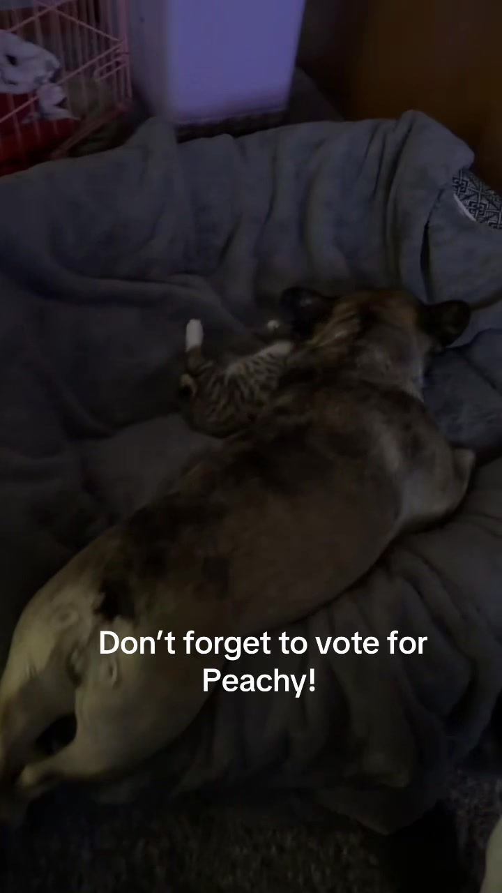 @idahogirl116