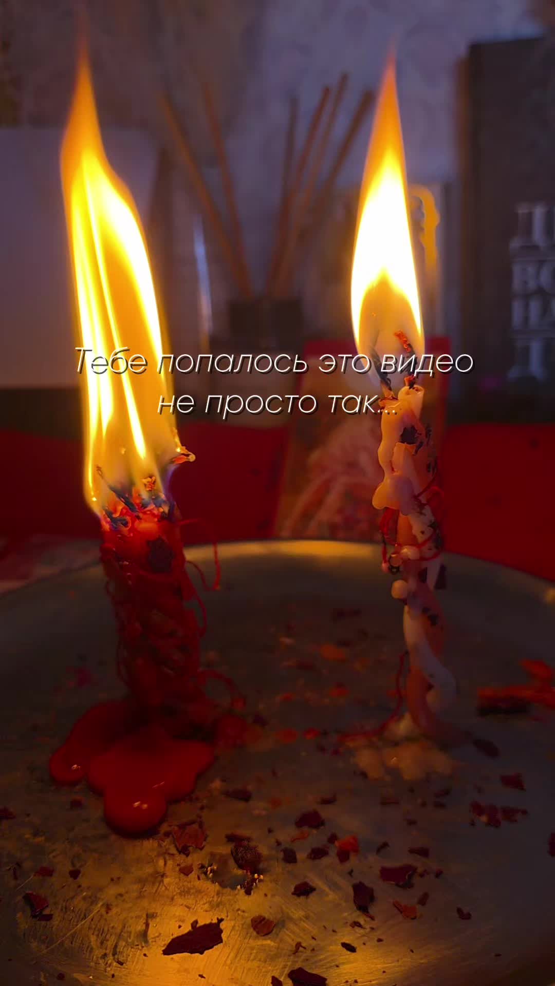 @aliceeback ~ магия жизни
