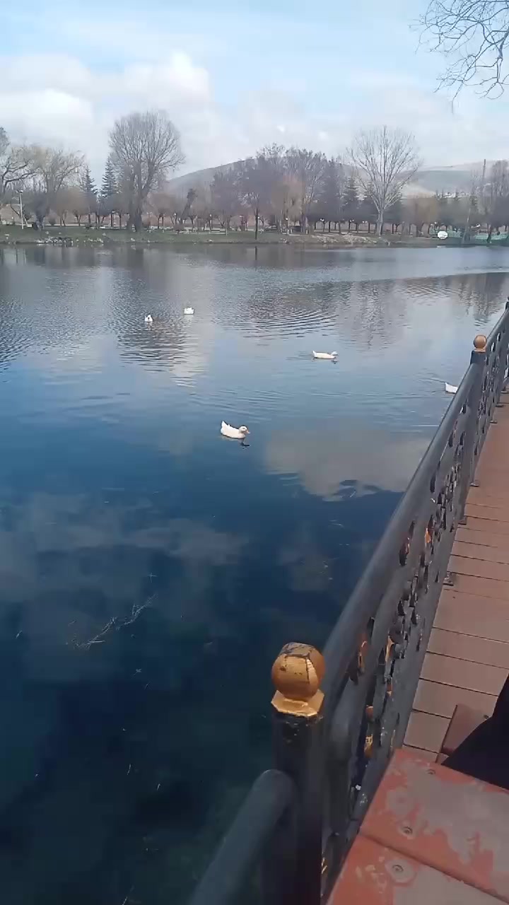 @elbistanli