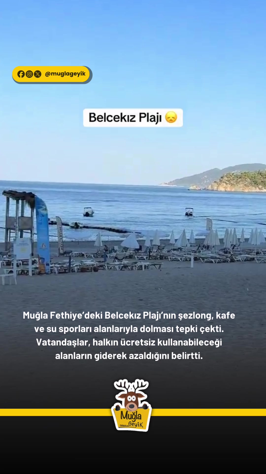 @Muğla Geyik