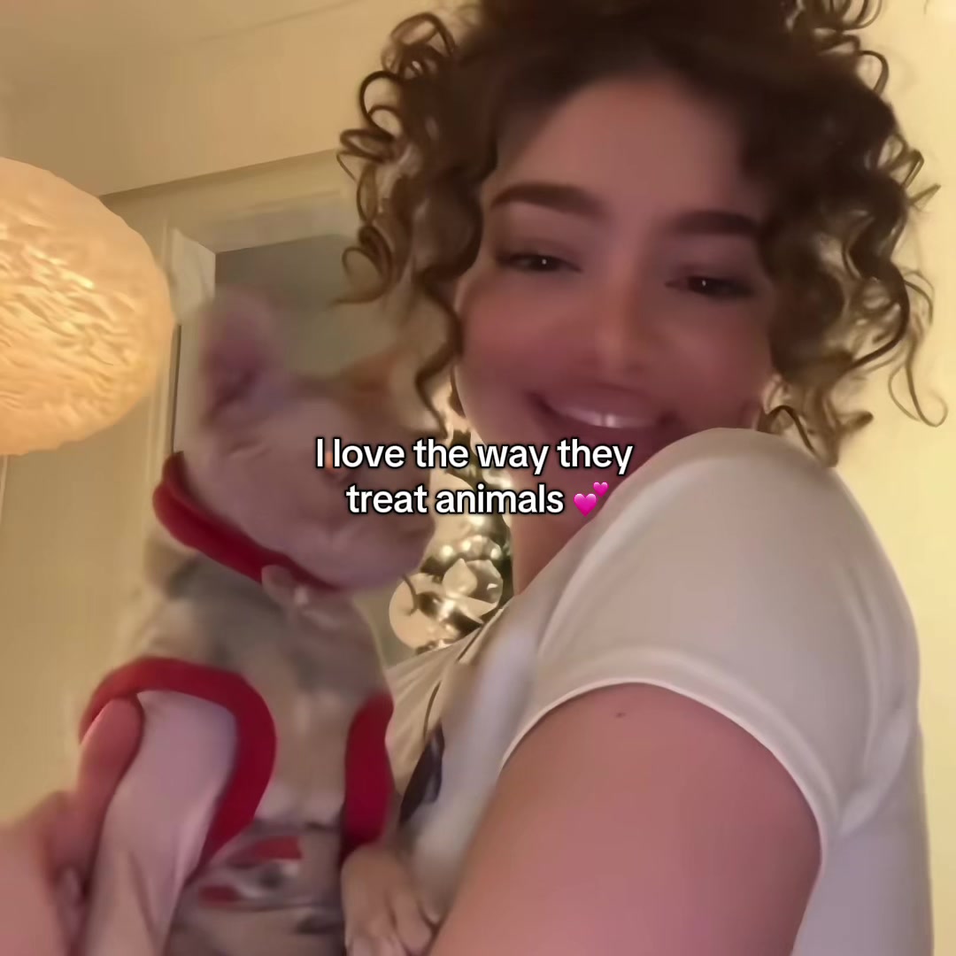 @𝐊𝐞𝐧𝐳𝐢𝐞ꨄ
