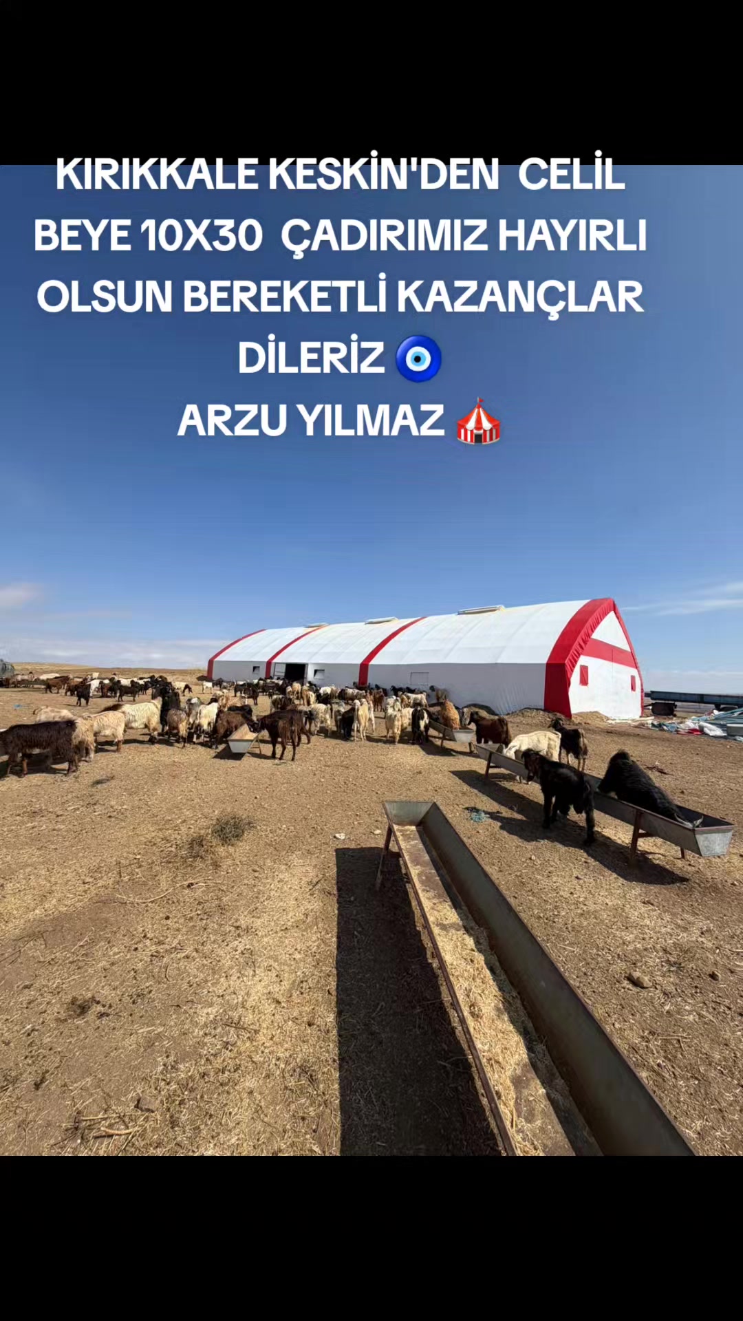 @Arzu Yılmaz