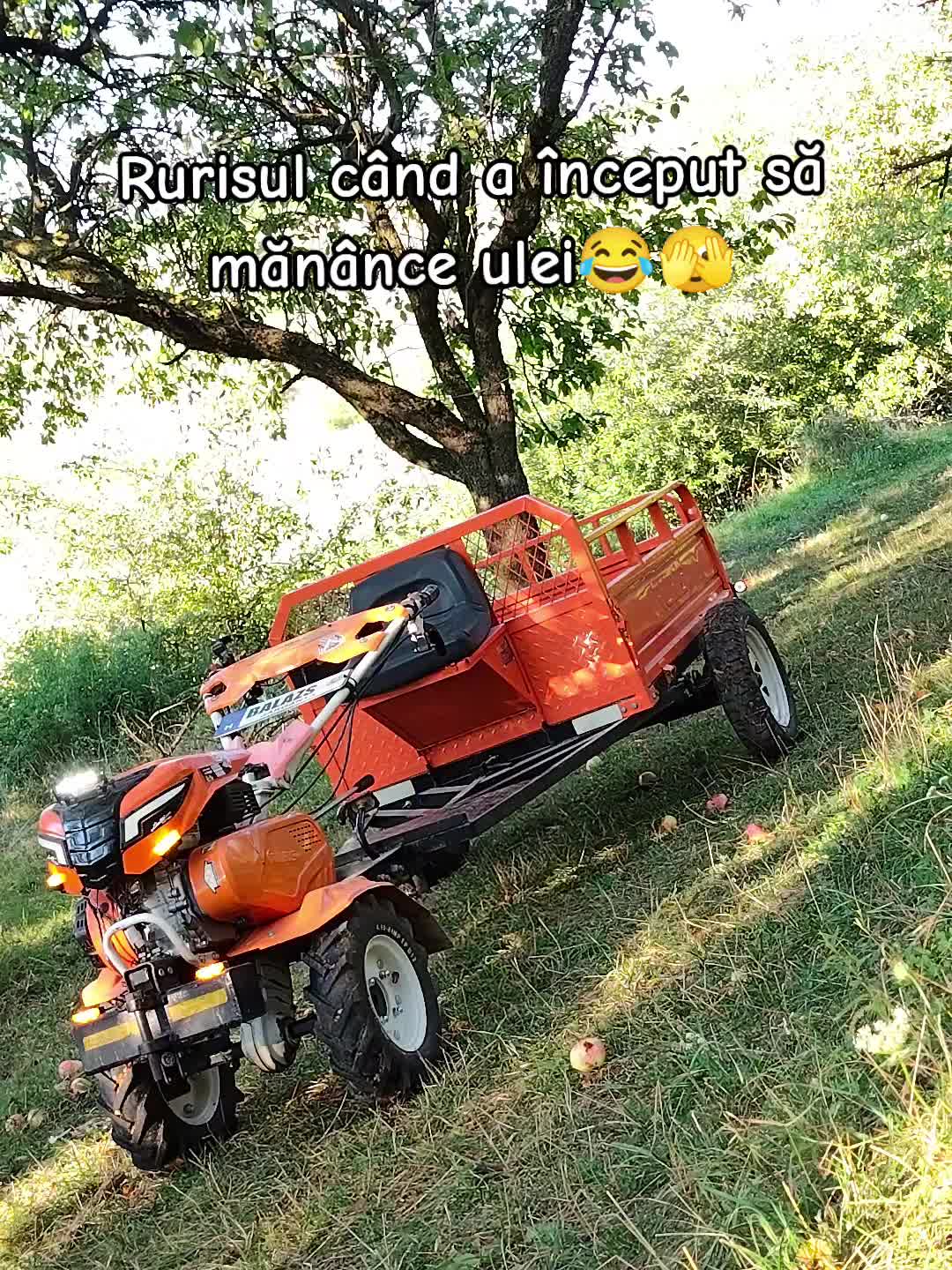 @๐ฉ๐๐á๐๐_๐ฉö๐ö๐๐๐๐