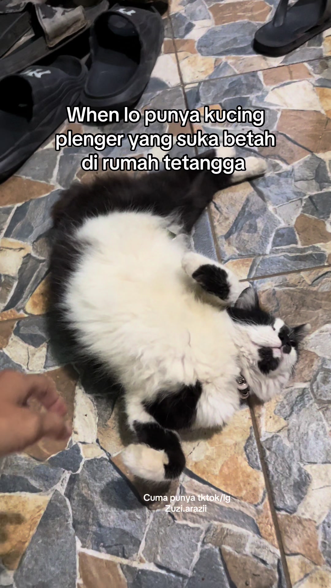 @SibinyokIG@zuzi.arazii