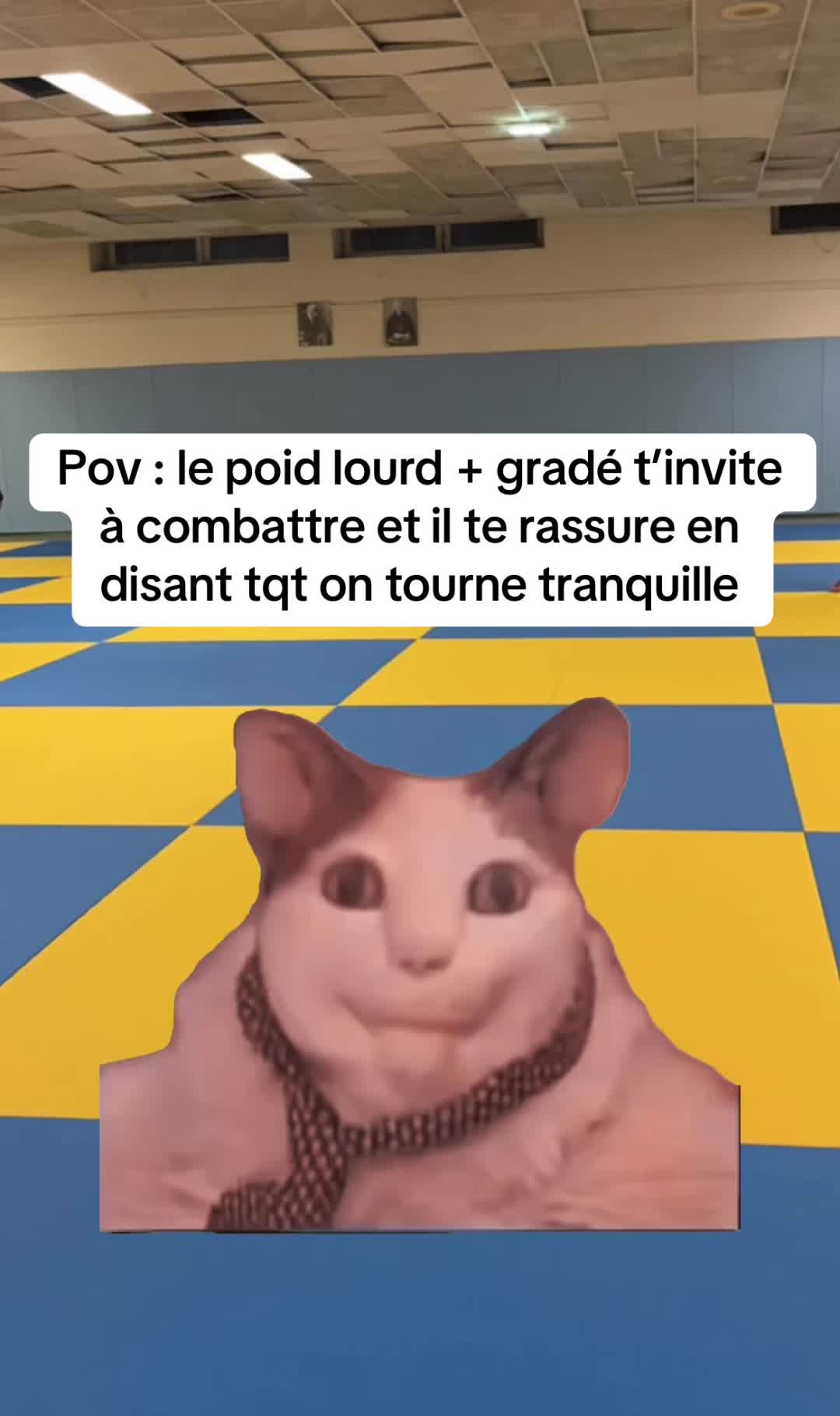 @Jiu jitsu story