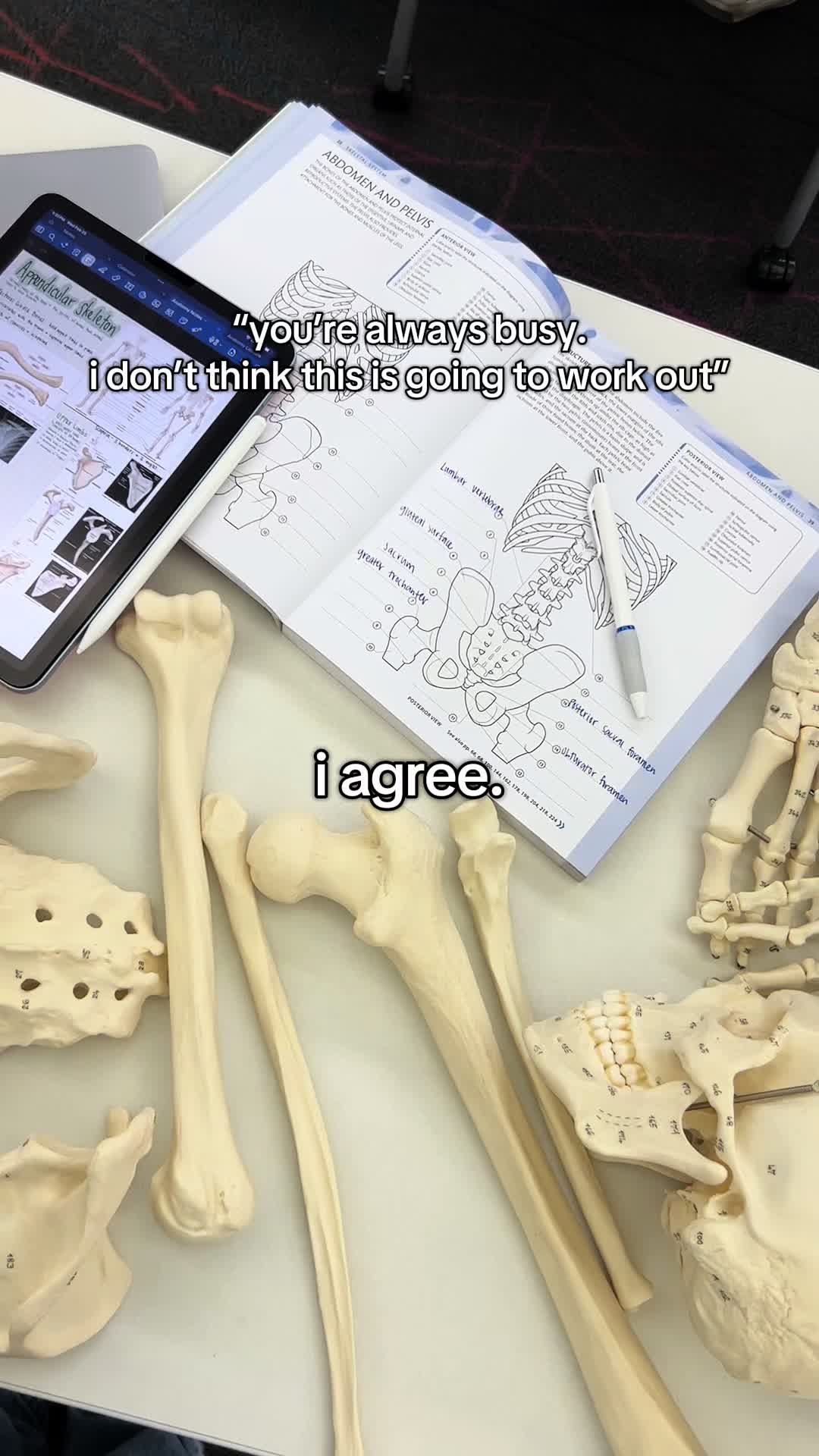 @ari