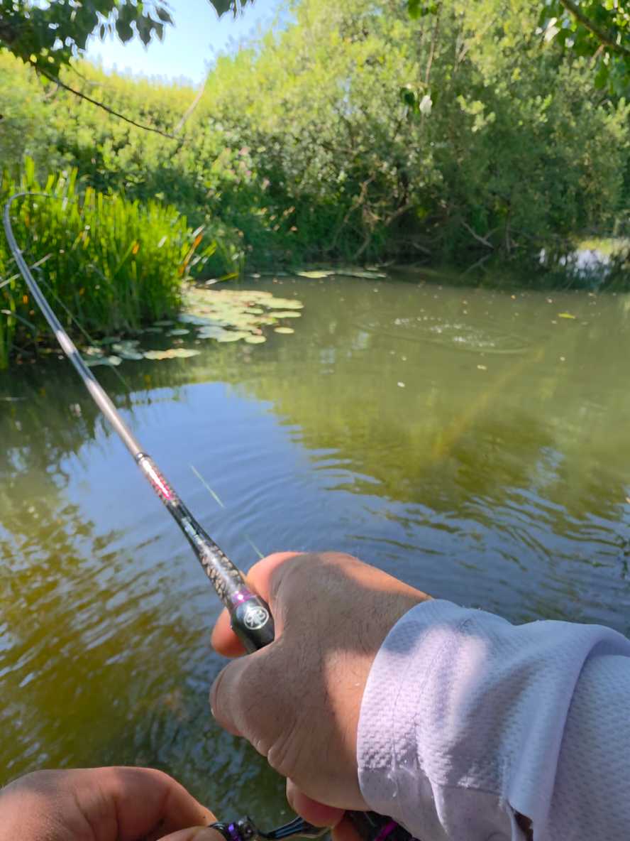 @BF Angler