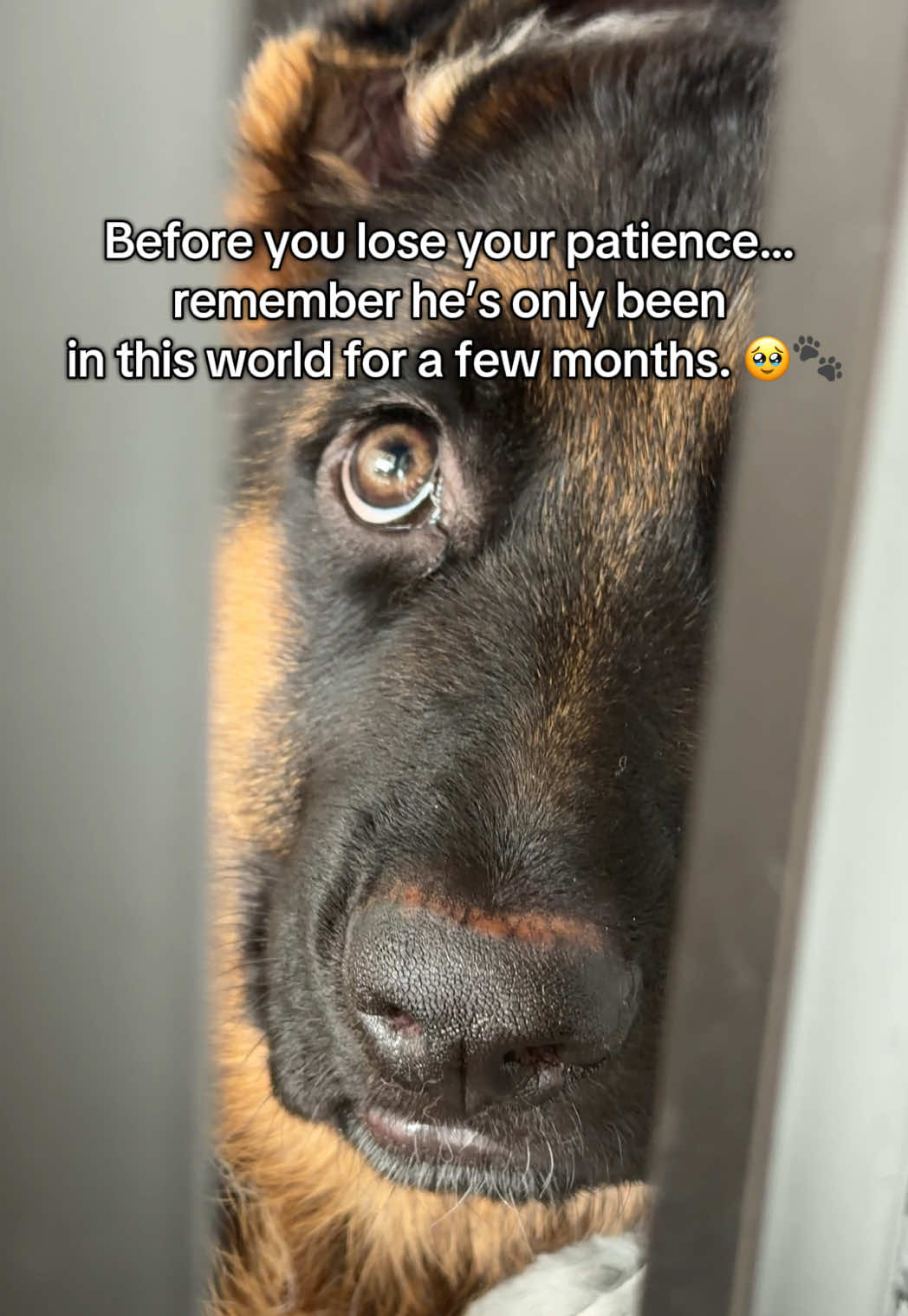 @gsd.kuba