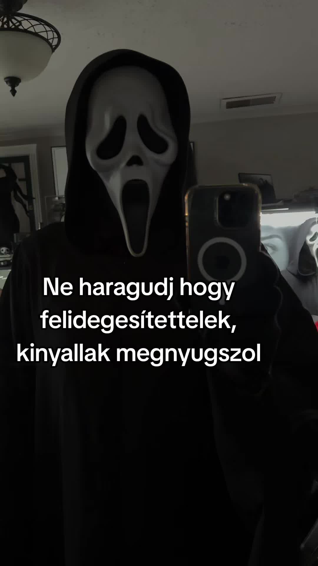 @Egyip_Tomii®