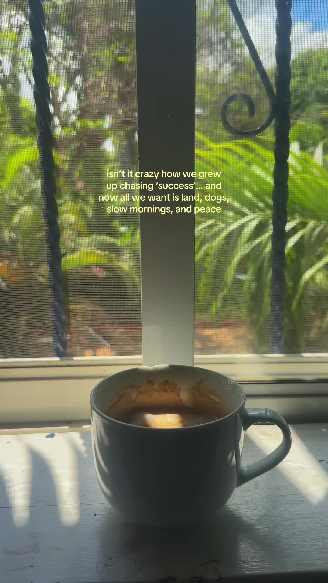 @avyabroad