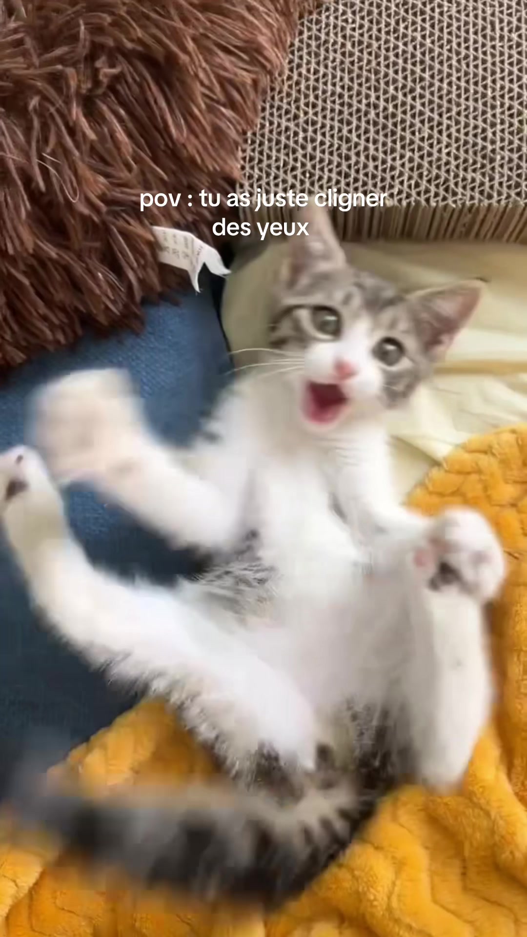 @𝐑ꨄse