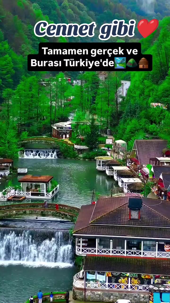 @Gülümse 🌍Dünya