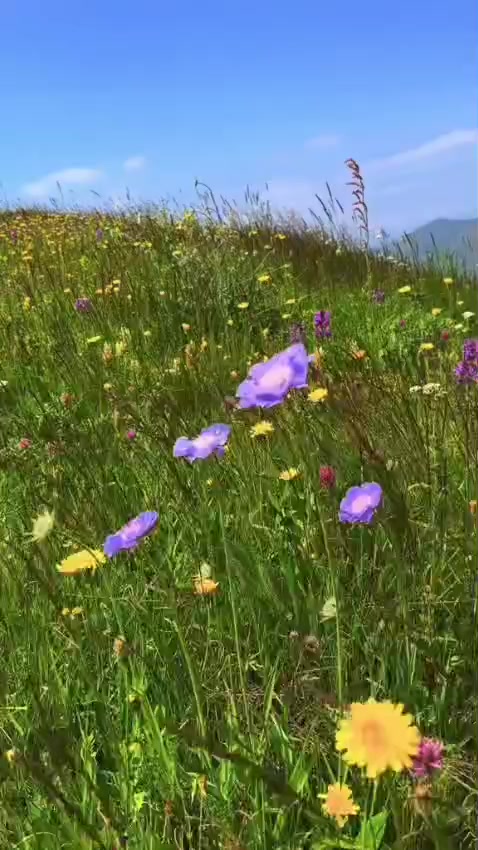 @Niyameddin La&ccedil;ınlı041