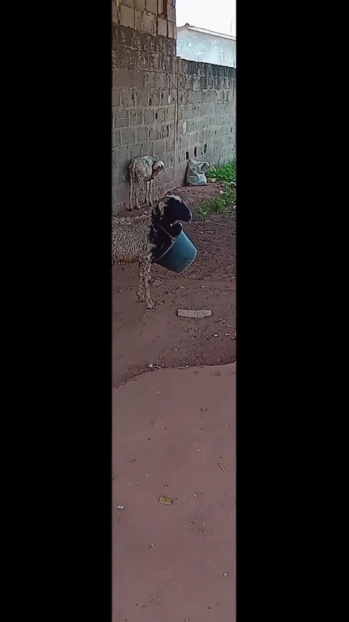 @OUSMANE DOUMBOUYA