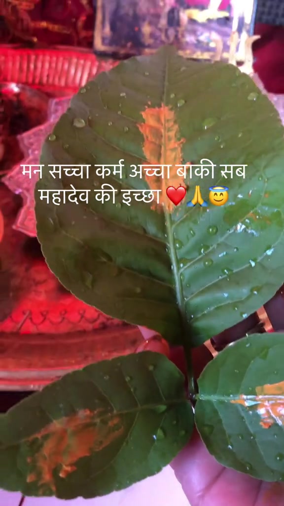 @Binam Kafley Karki