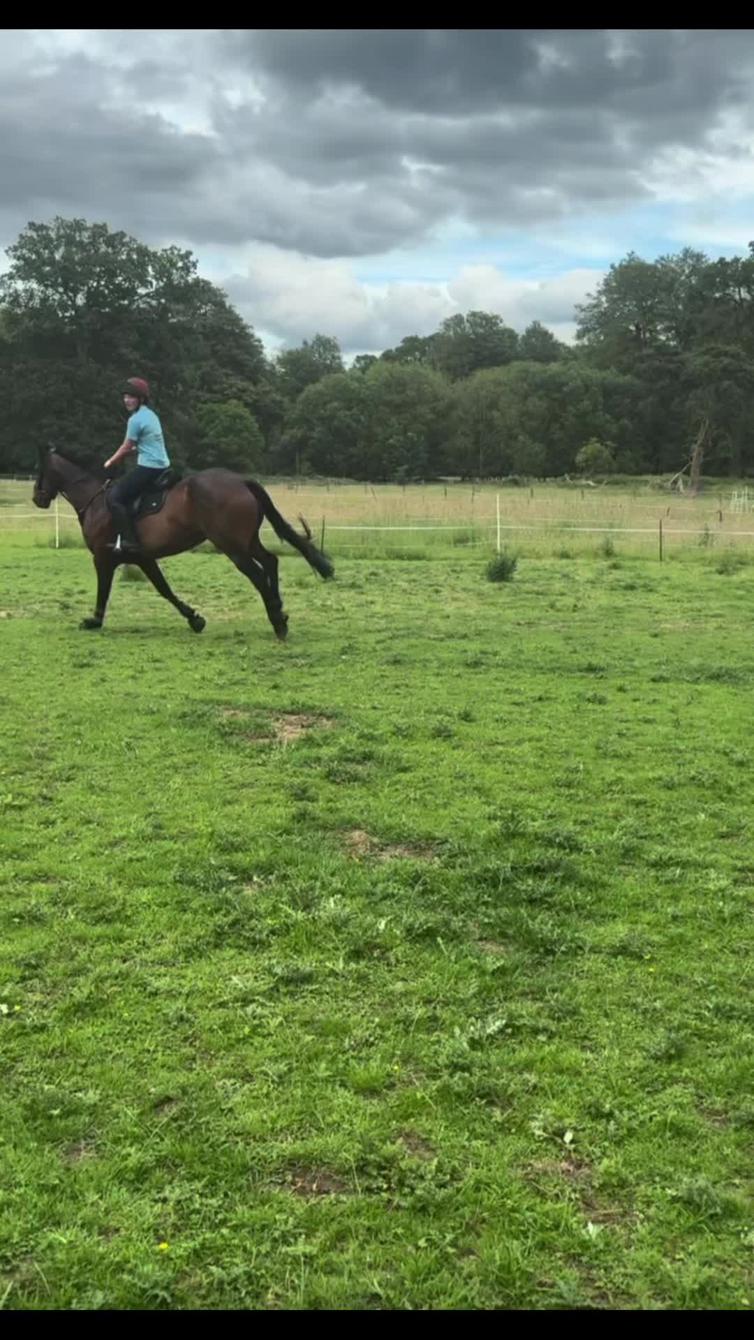 @MG.eq🇬🇧🐴