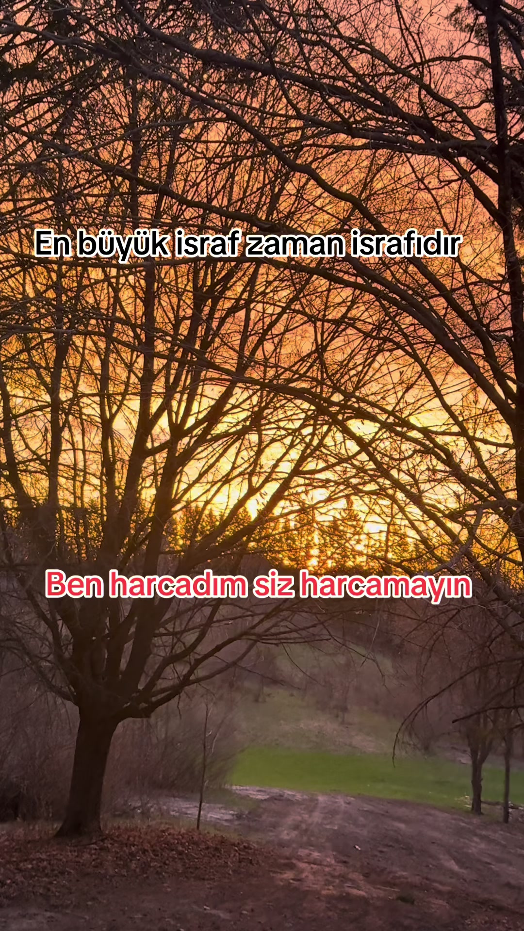 @KAPADOKYALI 🇹🇷CANADIAN🇨🇦
