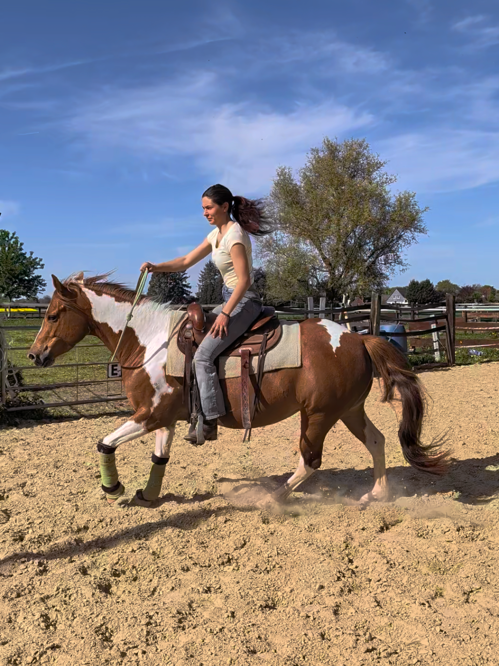 @~ Pearl Hart Ranch ~