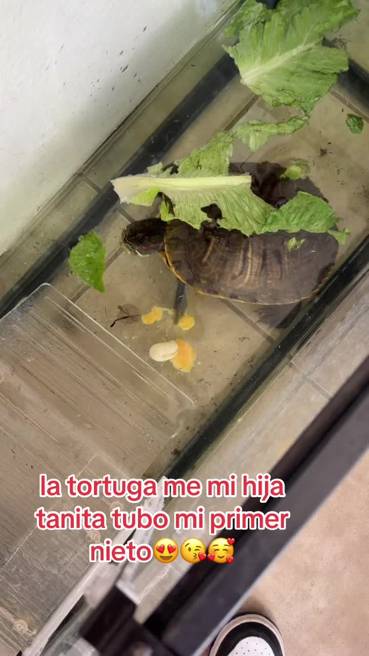 @Lisbeth Miranda
