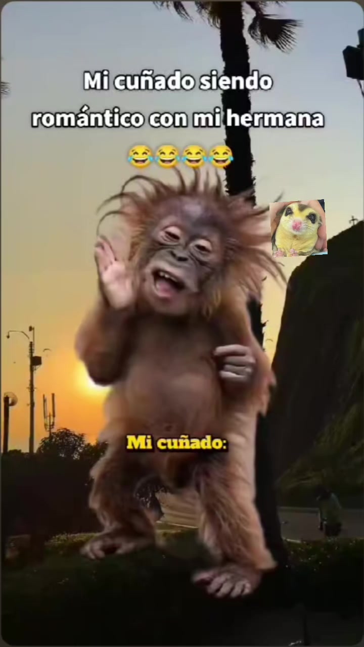 @Luc&iacute;a Ruiz