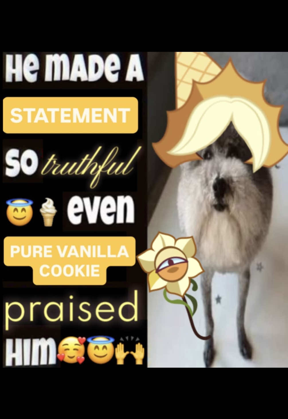 @𝓝𝓲𝓵𝓵𝔂