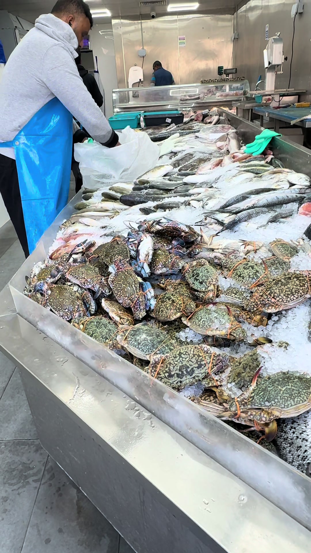 @Fishworld and Halal Meat