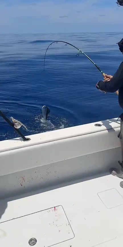 @WellsOntheWater