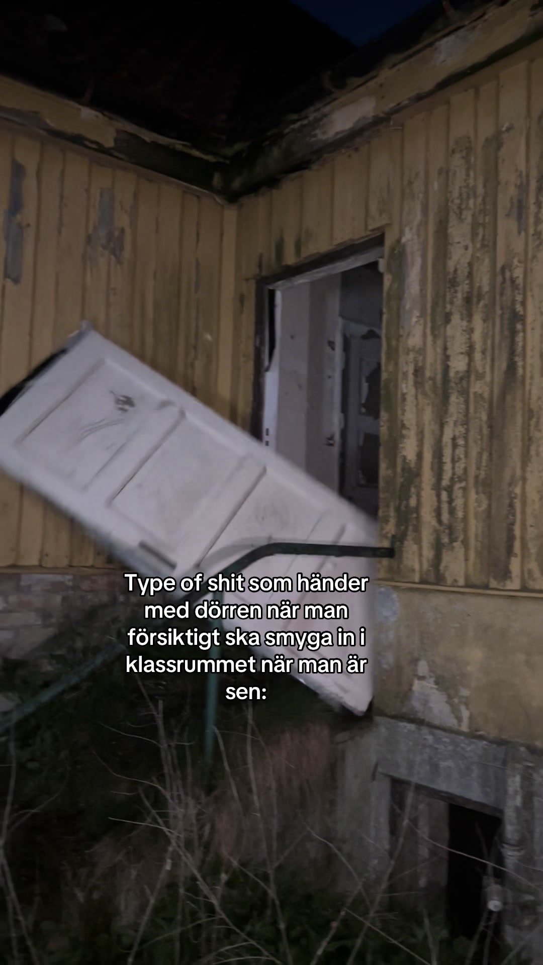 @Alexia Fejes