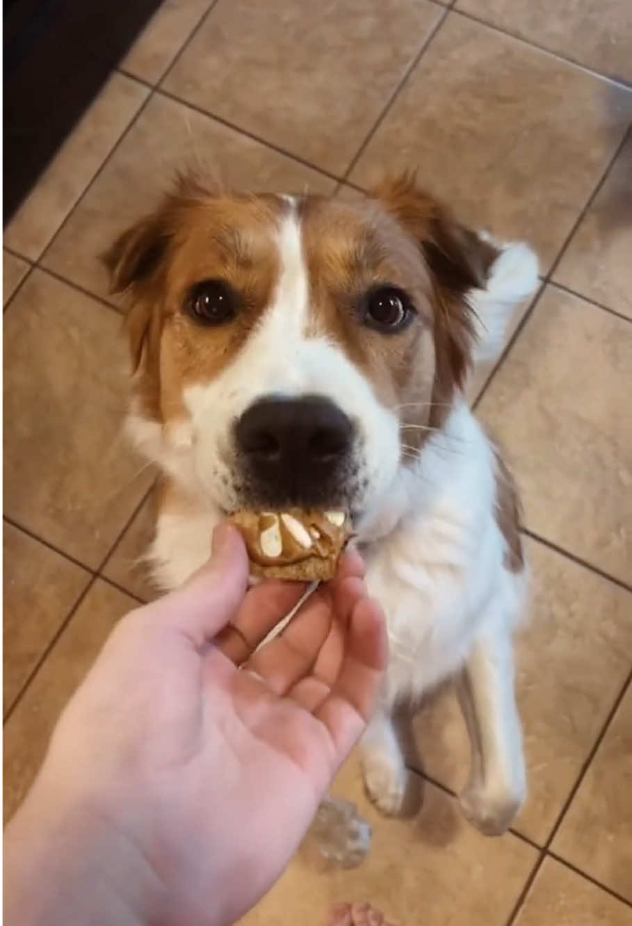 @cute.funny222