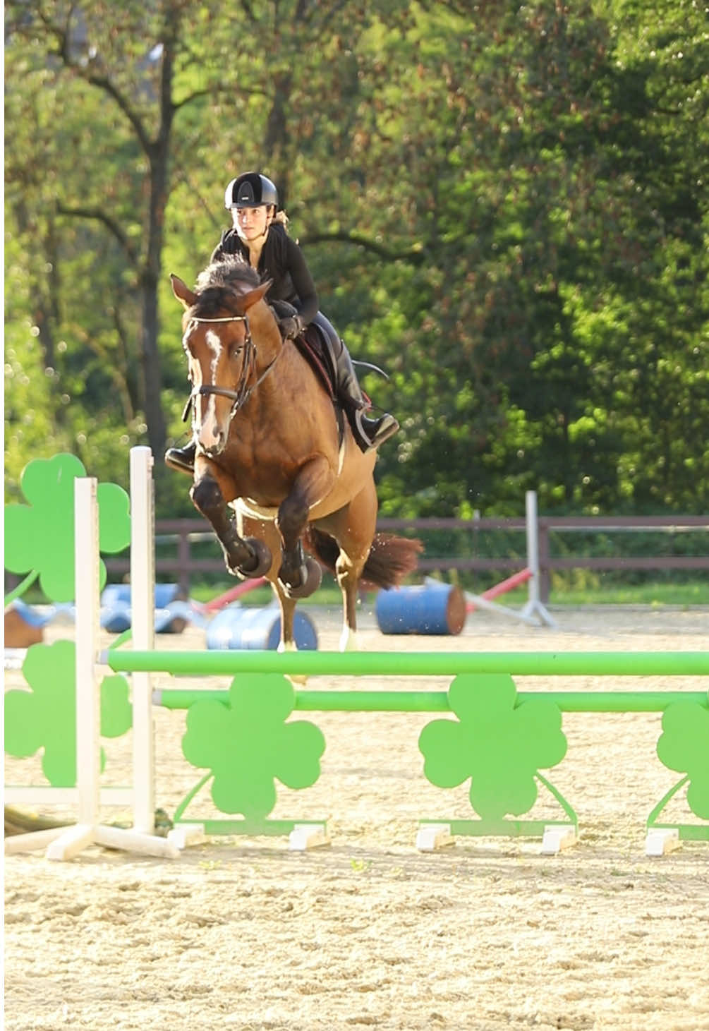 @La.Dolce.Horses