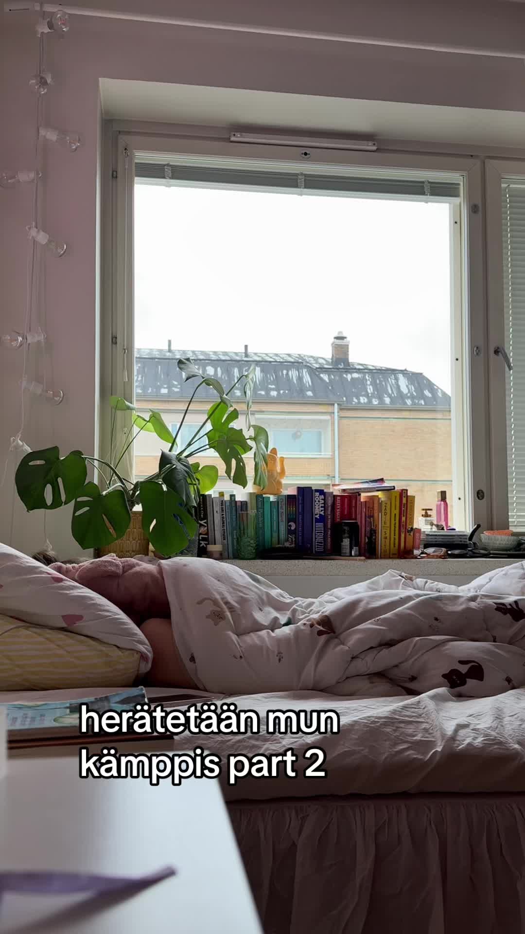 @maikkimus