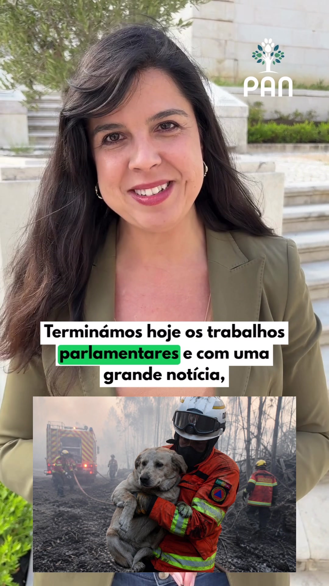 @Inês Sousa Real