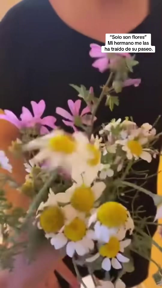 @_annietaa