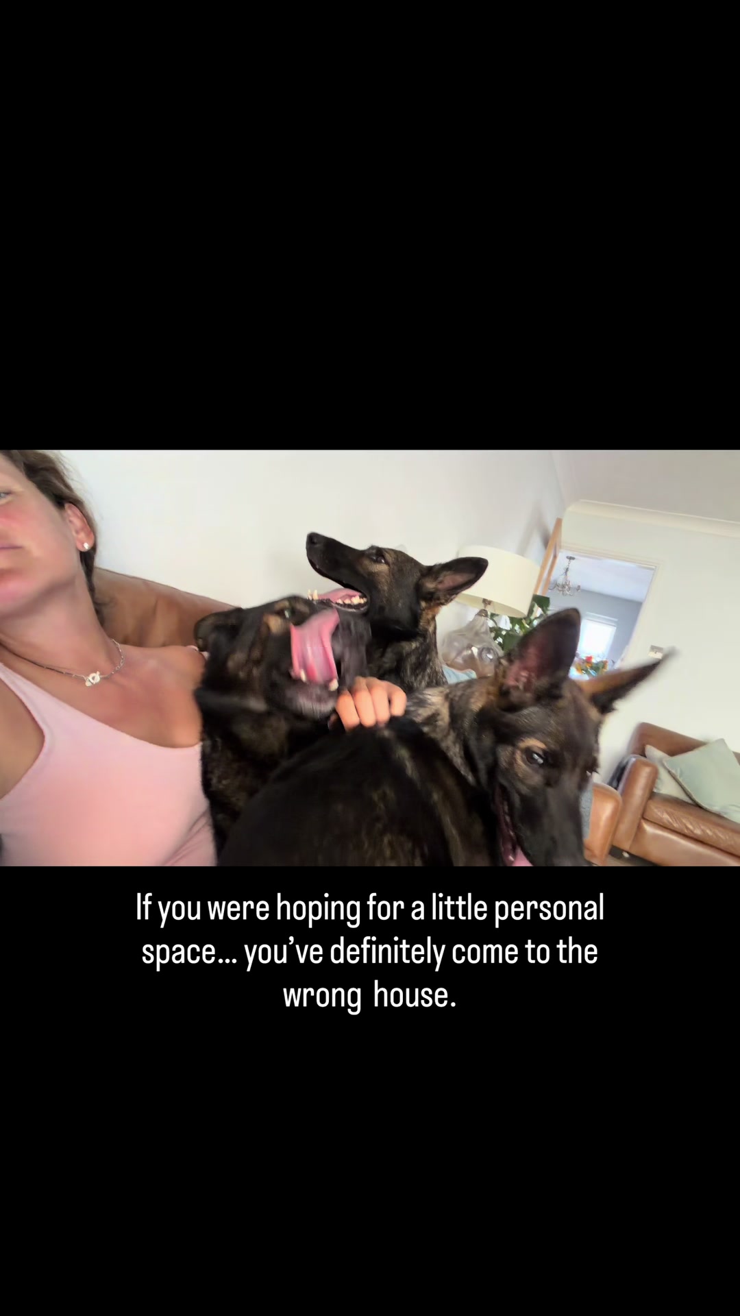 @Vonbekkas GSD