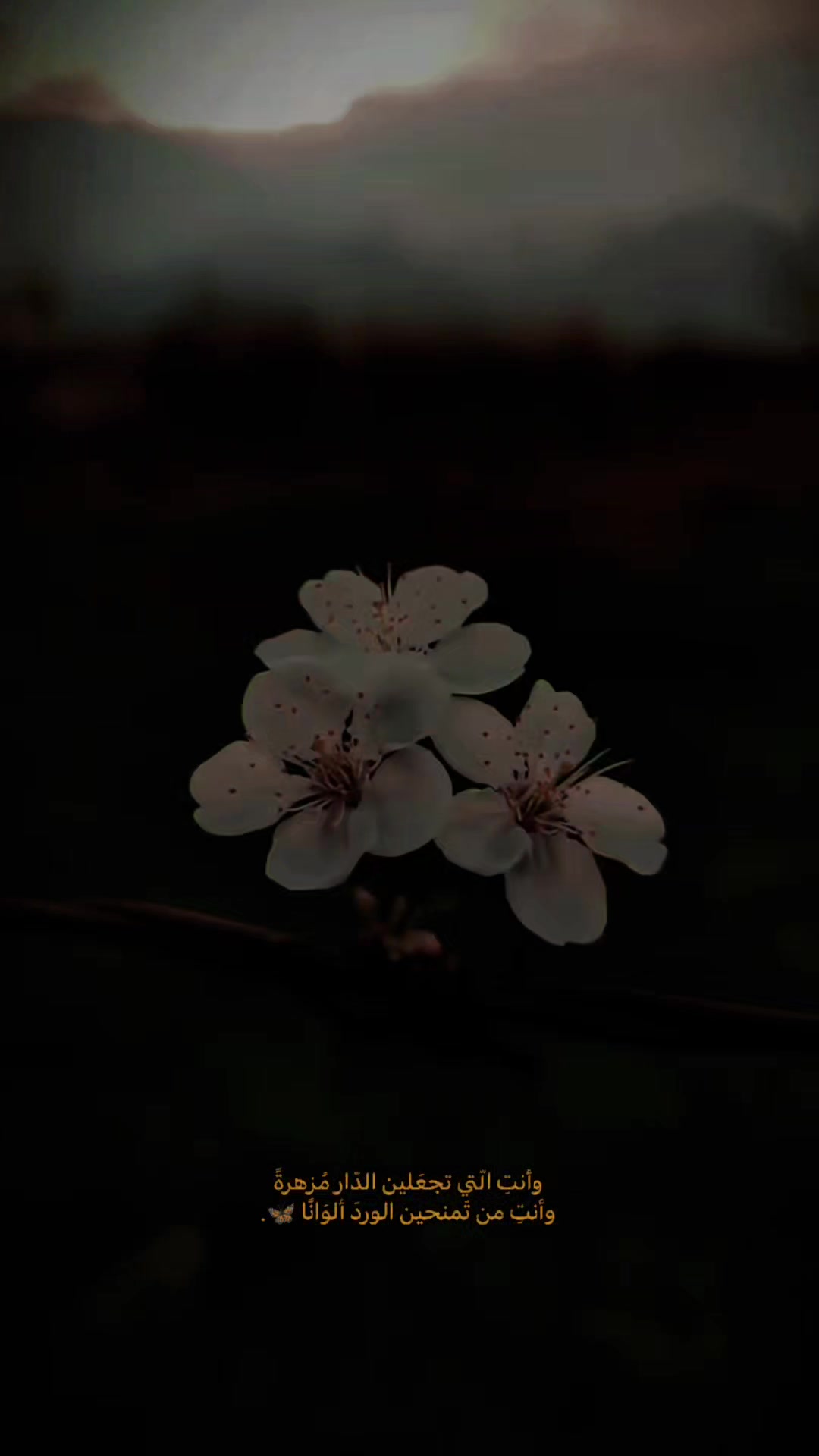 @04ENES10