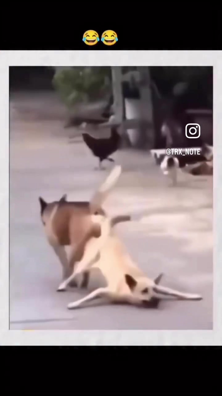 @BlastKrazzie