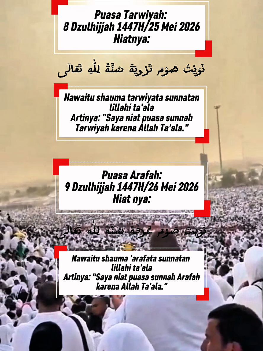@Umroh Cerdas