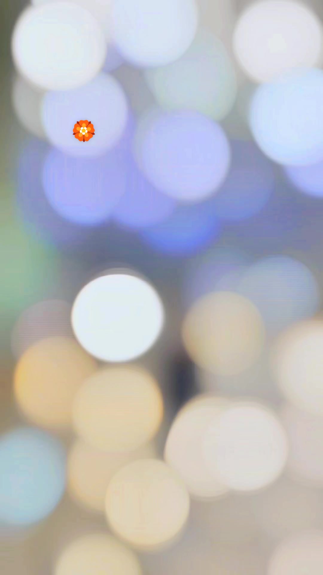 @✨