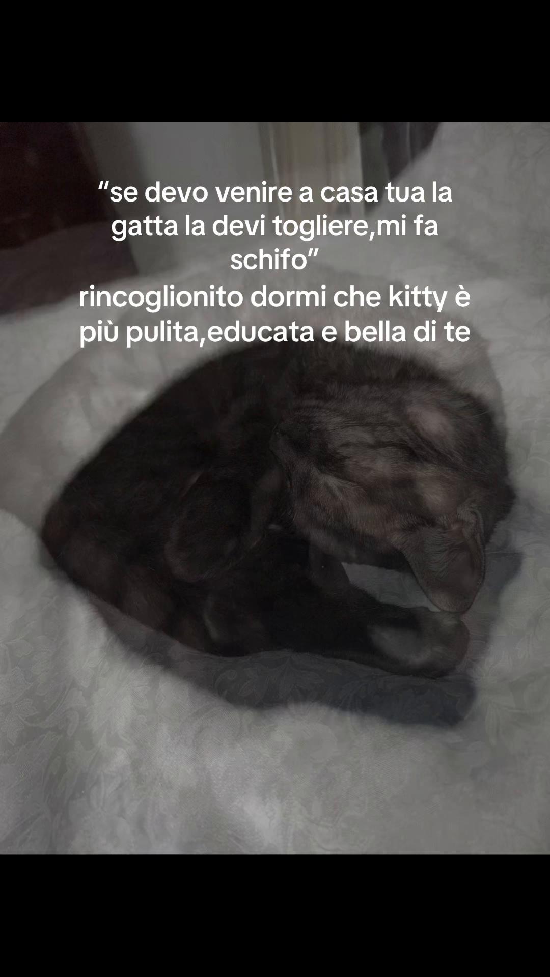 @⭐️francesca⭐️