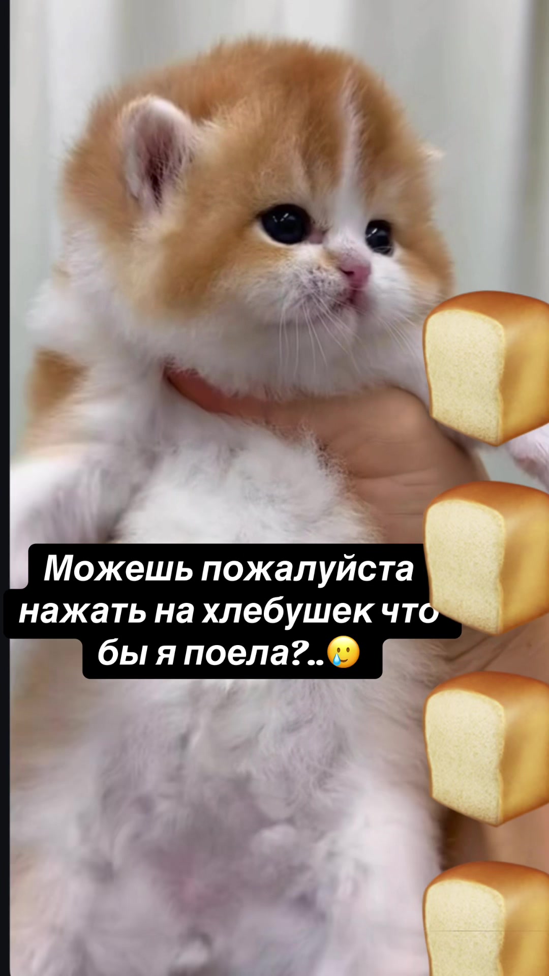 @kaboompriut