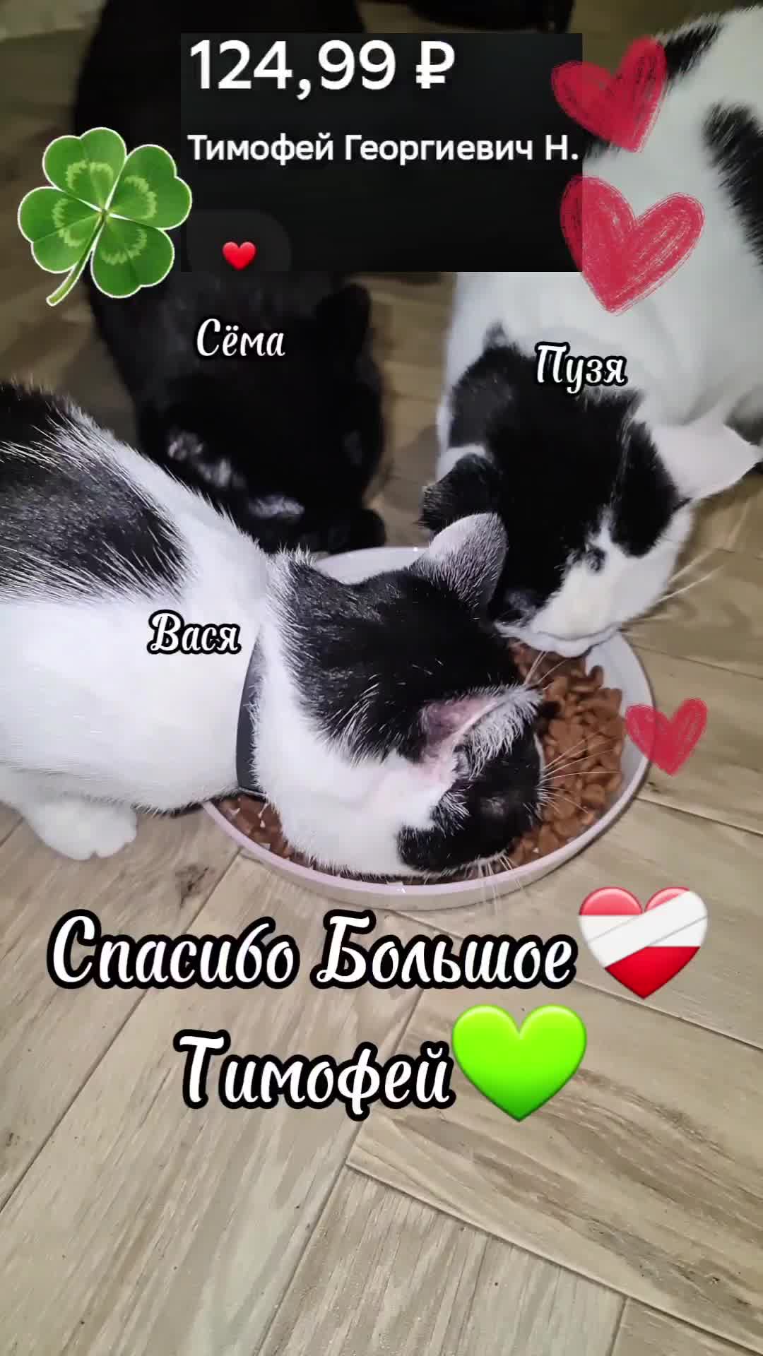 @Кошкин Дом
