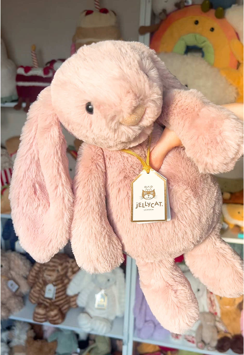 @Jellycat&ensp;Lover&ensp;♡