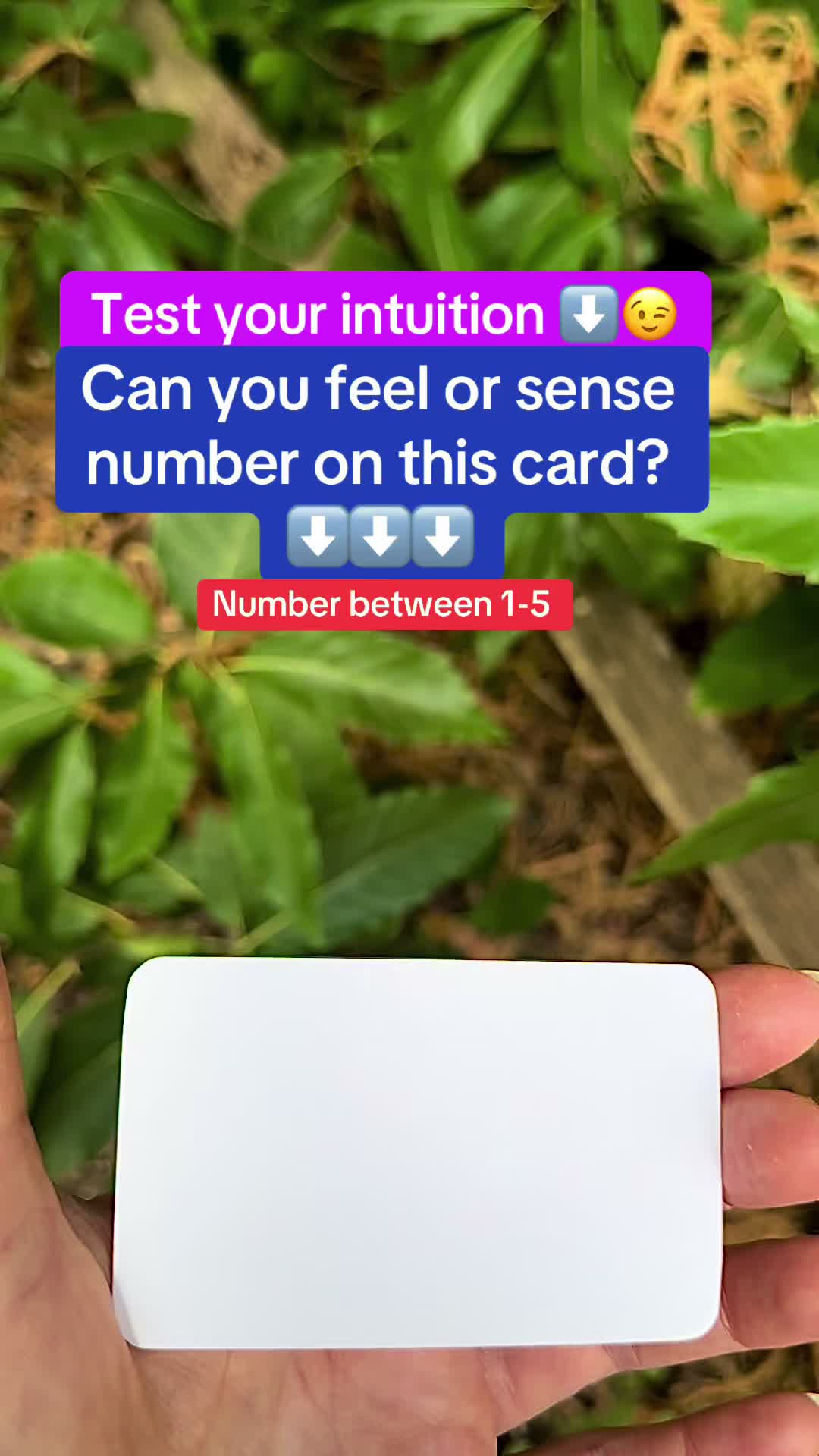 @Lia