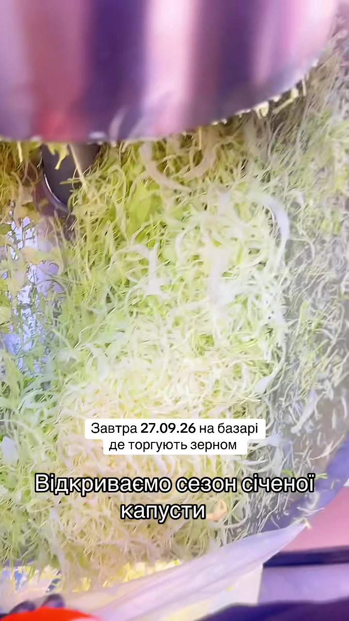 @Elena_Repko