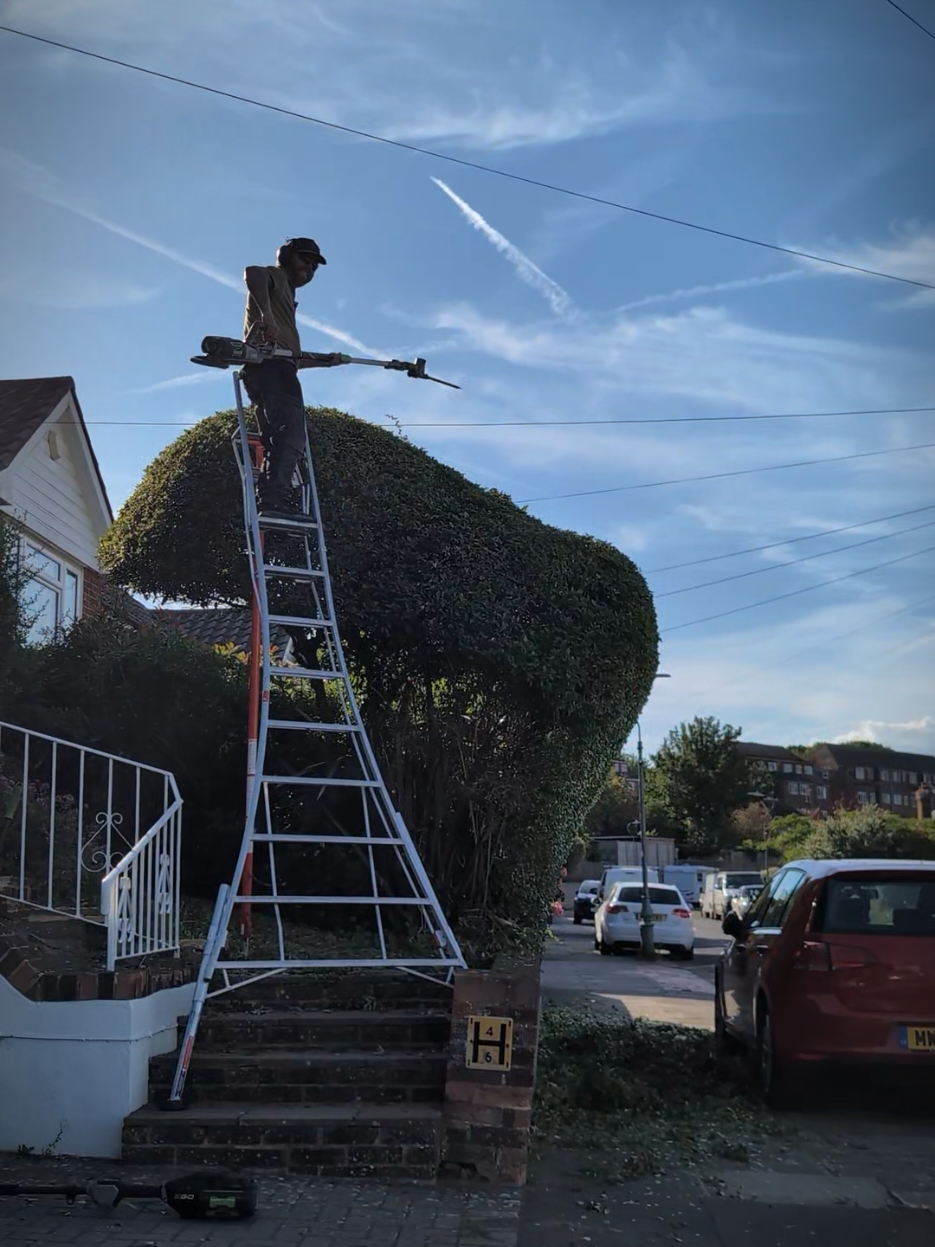 @Gary Hall Garden Services