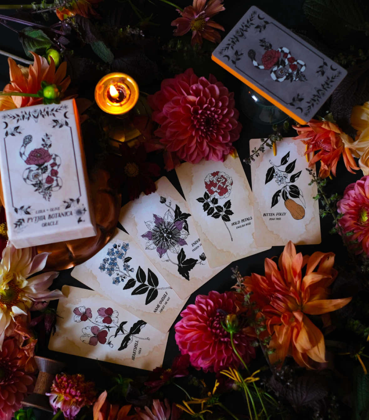 @Nicole 🥀 Art & Floral Magic
