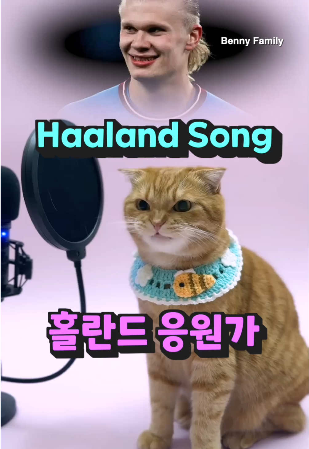 @베니패밀리 Benny Family